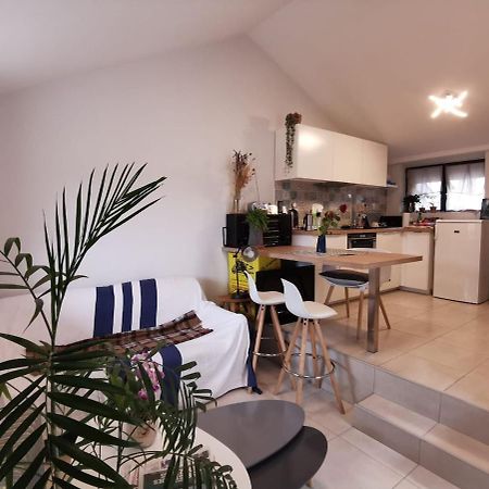 Hebergeneve Les Terrasses Apartment Gex Bagian luar foto